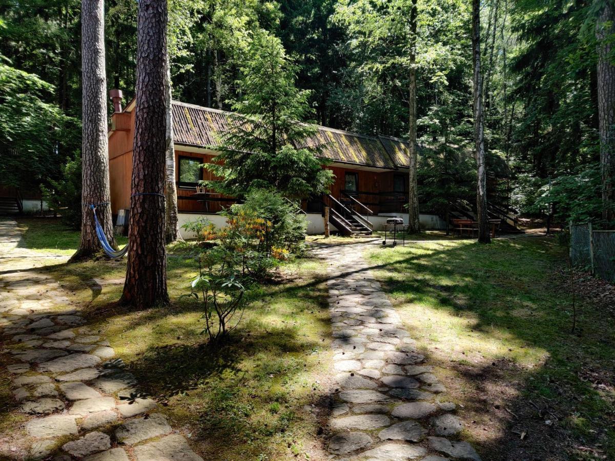 Osrodek Lesny Rajsko W Zapuscie Campsite
