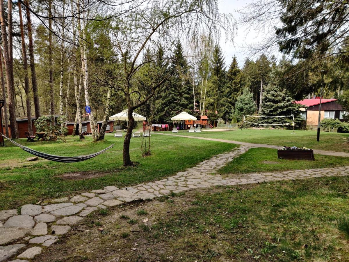 Osrodek Lesny Rajsko W Zapuscie Campsite *