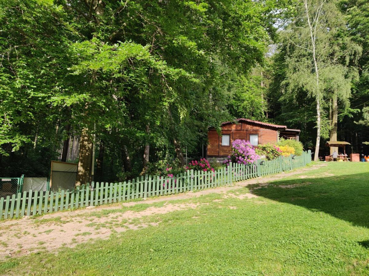 Osrodek Lesny Rajsko W Zapuscie