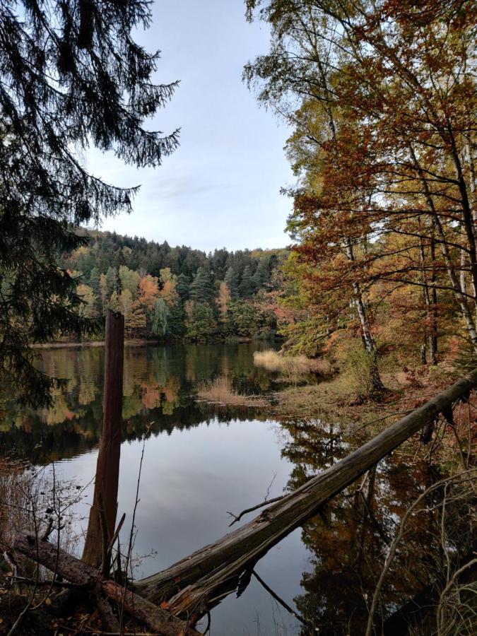 Campsite Osrodek Lesny Rajsko W Zapuscie *