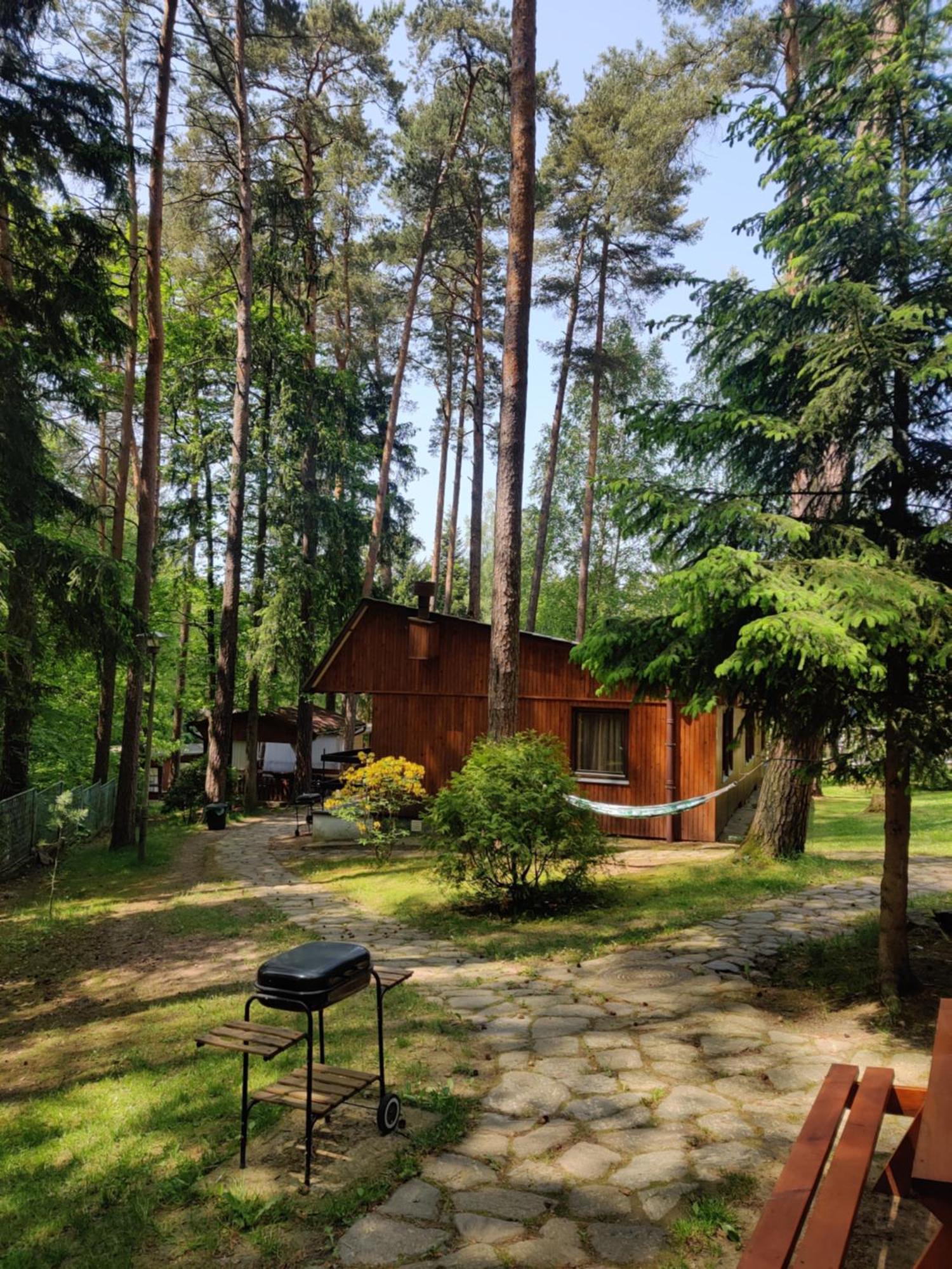 Campsite Osrodek Lesny Rajsko W Zapuscie Zapusta
