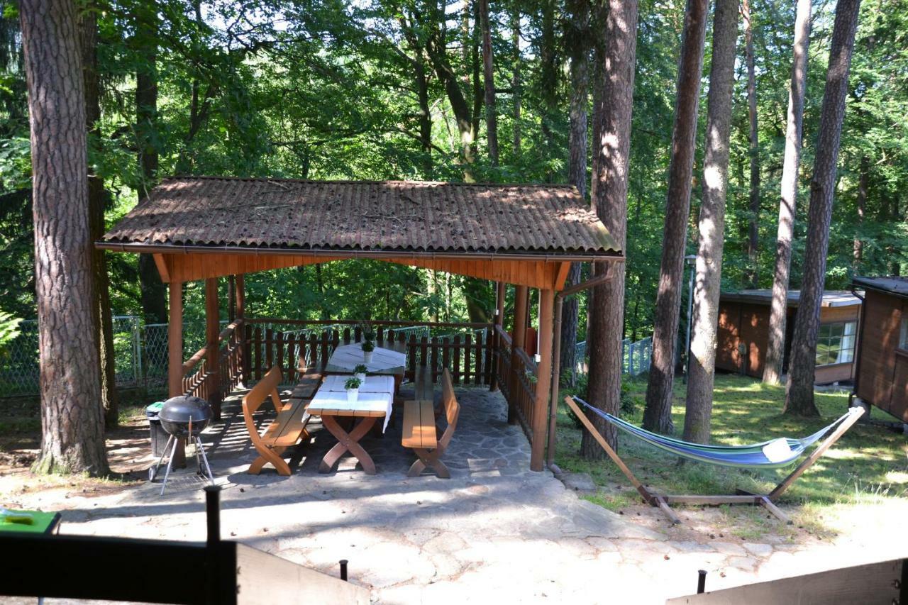Osrodek Lesny Rajsko W Zapuscie Campsite