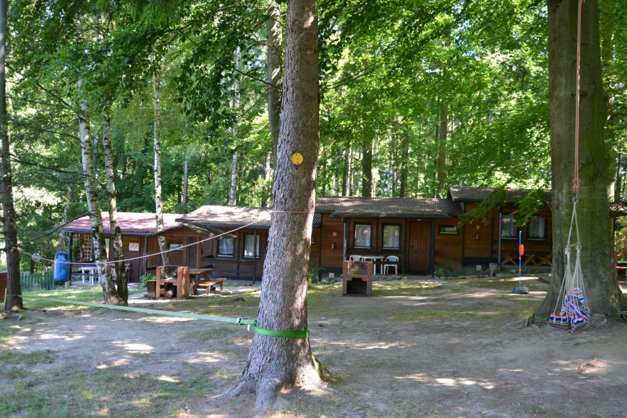 Osrodek Lesny Rajsko W Zapuscie Campsite *
