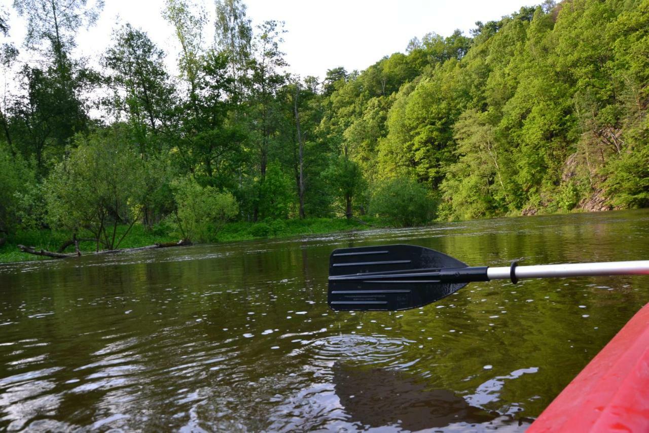 Osrodek Lesny Rajsko W Zapuscie Campsite *